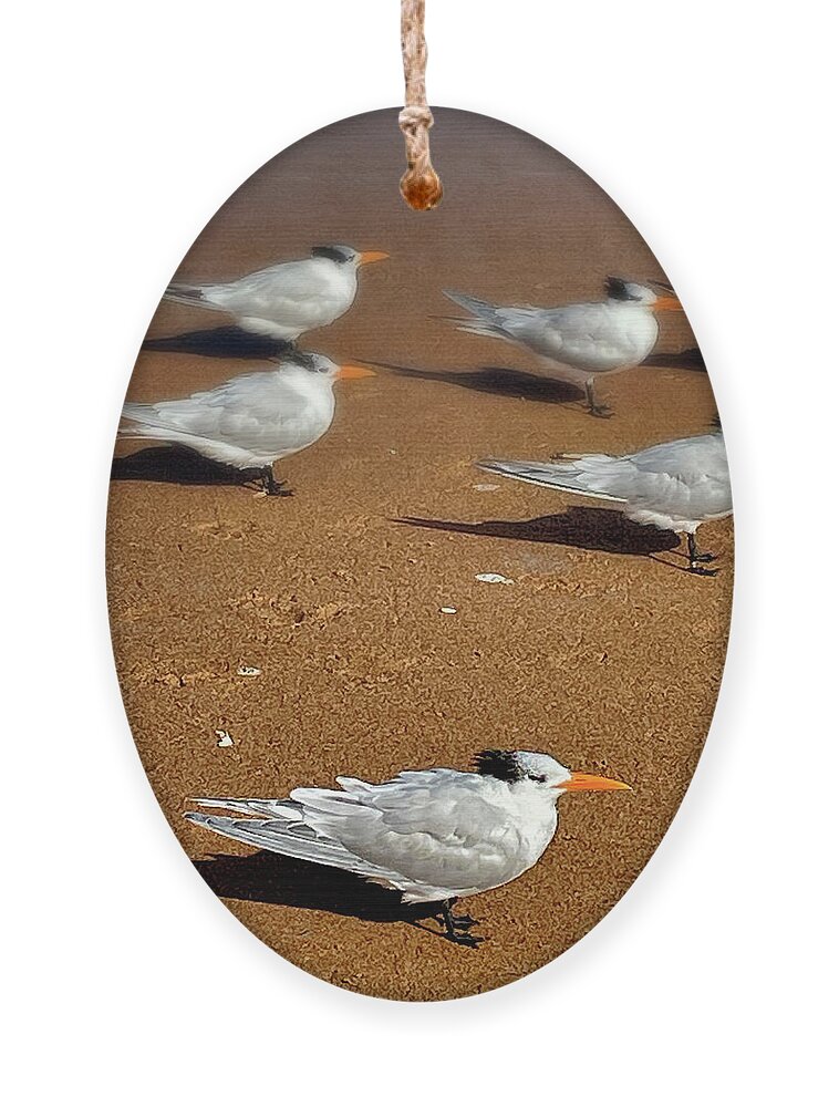Flagler Beach Ornament featuring the photograph Birids of a Feather by George Taylor