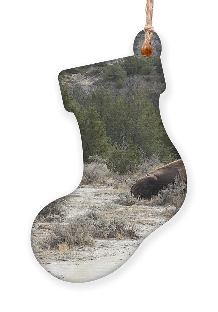 Bison Ornament featuring the photograph Bison On The Trail by Amanda R Wright