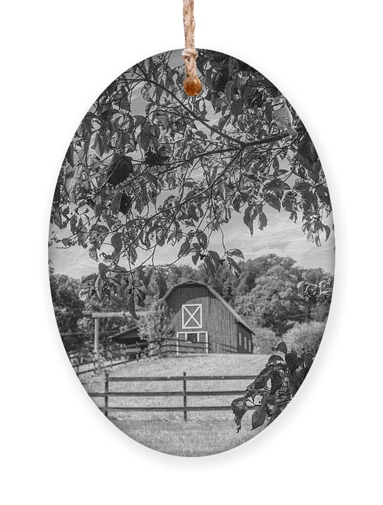Barns Ornament featuring the photograph Black and White Country Barn in the Dogwoods by Debra and Dave Vanderlaan