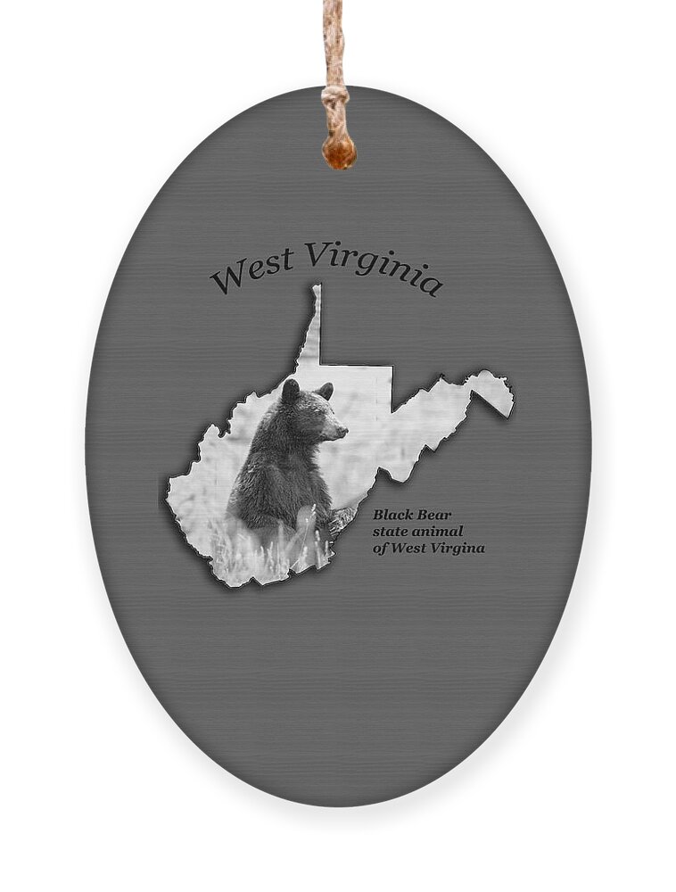 Black Bear Ornament featuring the photograph Black Bear WV state animal by Dan Friend