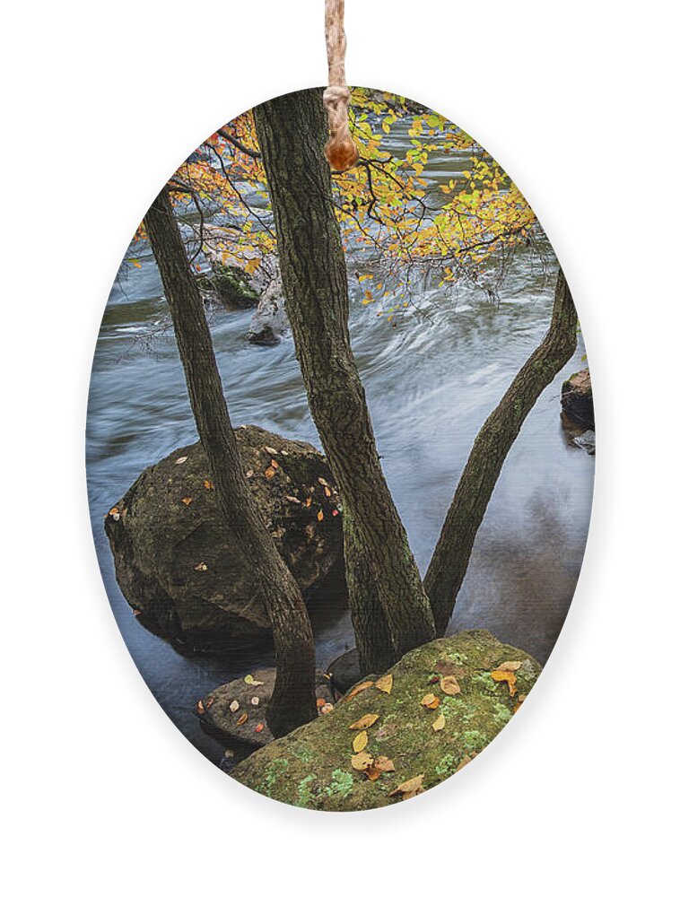 Arbor Ornament featuring the photograph Blackstone River LX Color by David Gordon
