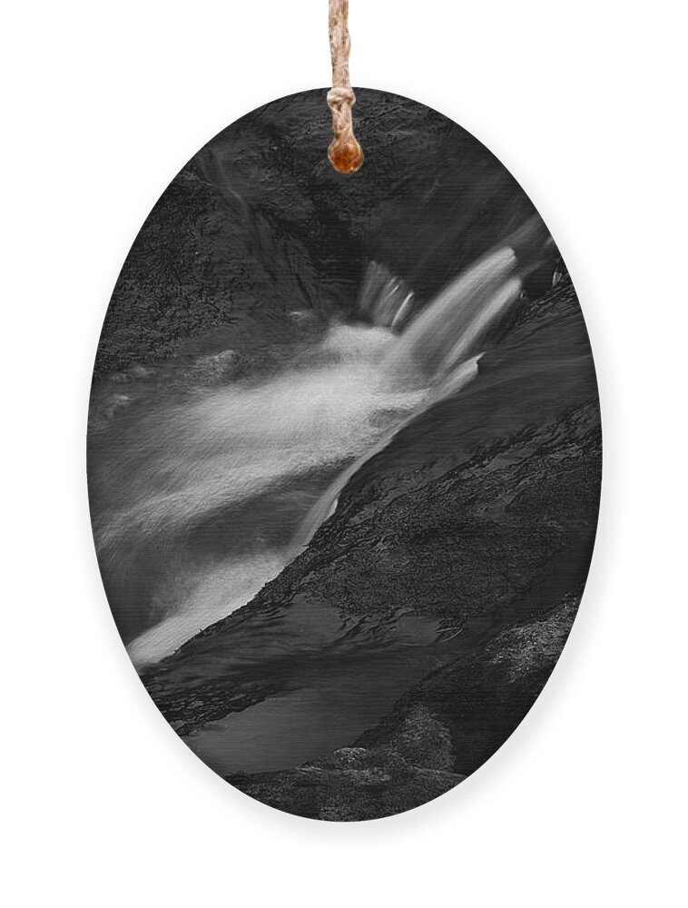 Abstract Ornament featuring the photograph Blackstone River LXV BW by David Gordon