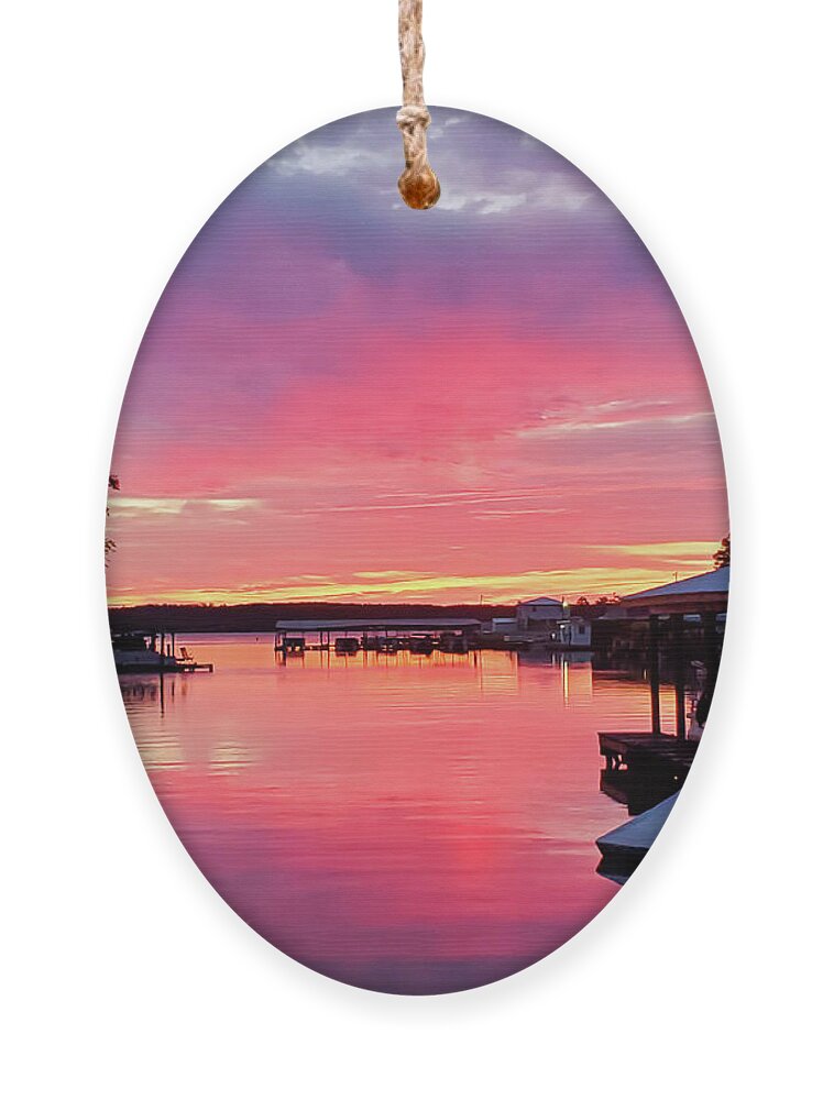 Morning Ornament featuring the photograph Blood In The Water by Ed Williams