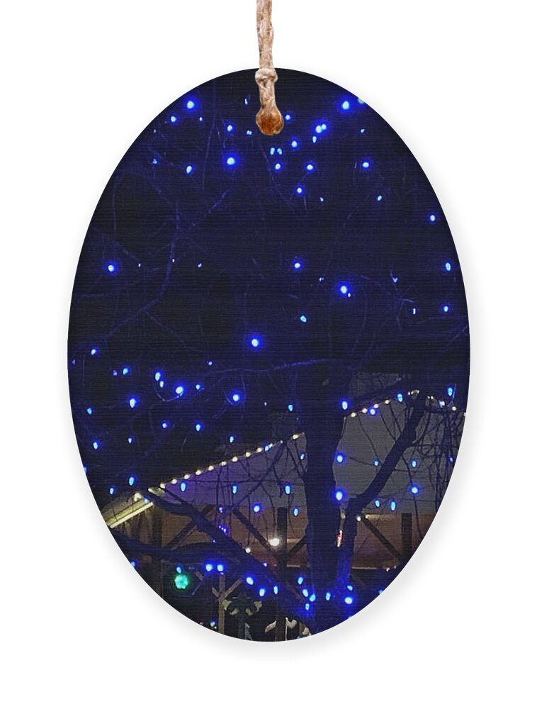 Christmas Ornament featuring the photograph Blue Christmas by Lee Darnell