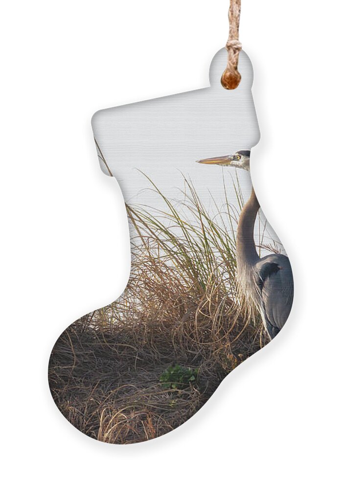 Blue Heron Ornament featuring the photograph Blue Heron on the Dunes by Susan Rissi Tregoning