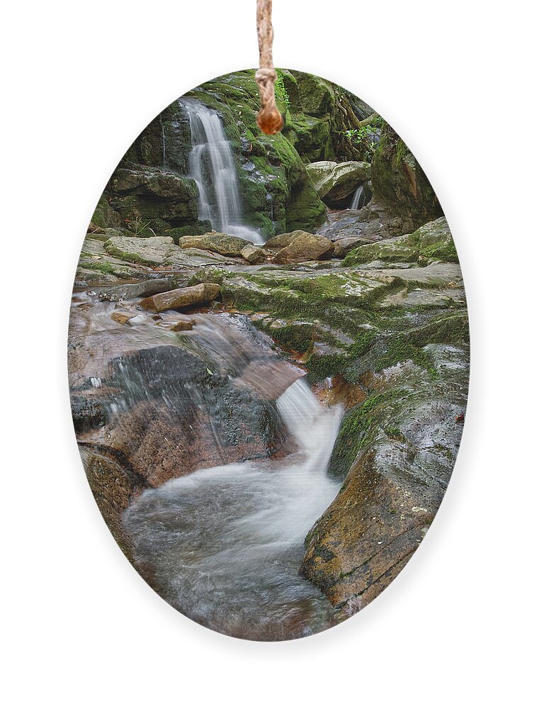 Nature Ornament featuring the photograph Blue Hole Falls 15 by Phil Perkins