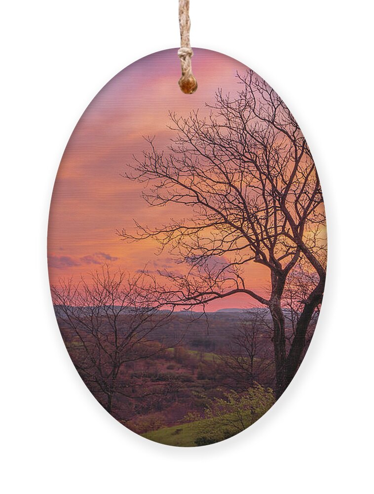 Sunset Ornament featuring the photograph Blue Hour Sunset Trexler Nature Preserve by Jason Fink