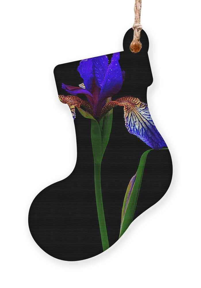 Iris Ornament featuring the photograph Blue Iris by Cynthia Dickinson