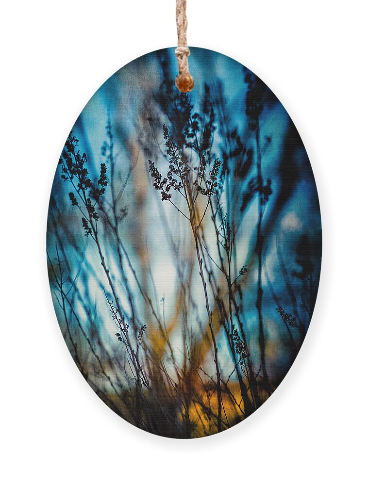 Plant Ornament featuring the photograph Blue mood by Yasmina Baggili