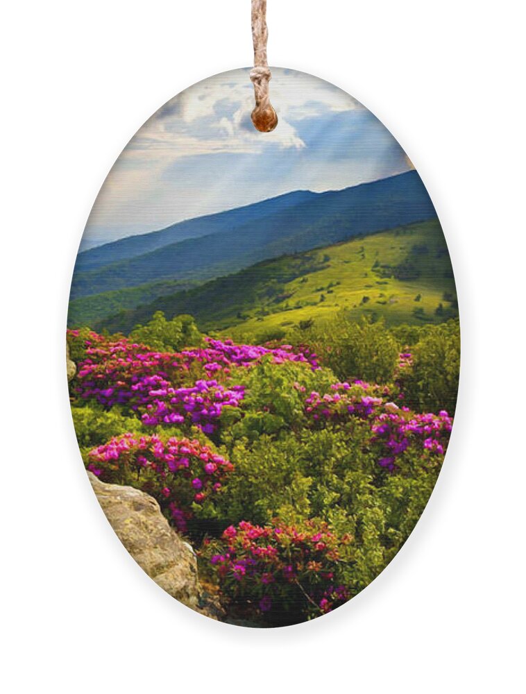 Blue Ridge Parkway Ornament featuring the mixed media Blue Ridge Parkway Catawba Rhododendrons by Sandi OReilly