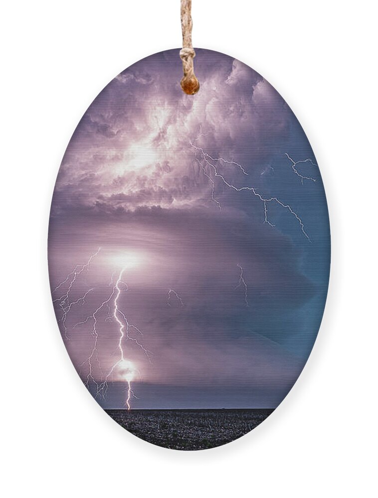 Storm Ornament featuring the photograph Branched by Marcus Hustedde