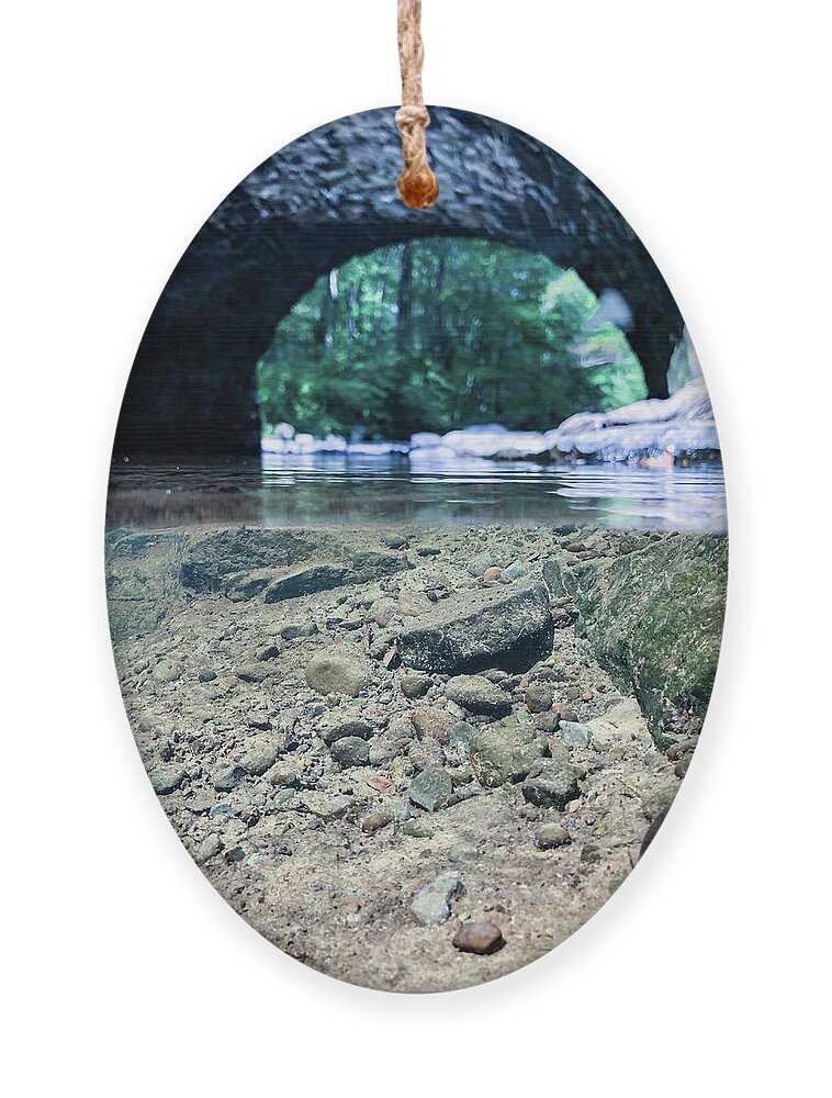 Water Ornament featuring the photograph Bridge Over The River in the Forest by Amelia Pearn