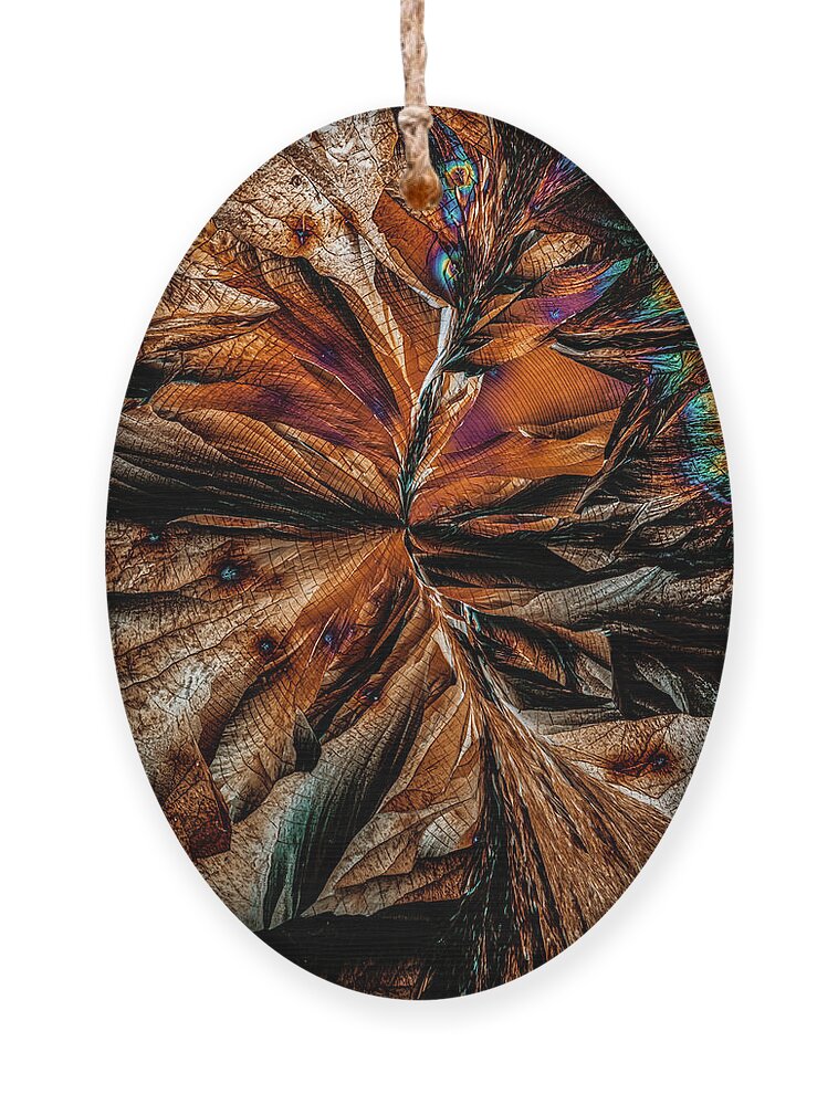 Chemistry Ornament featuring the photograph Brown path of crystals by Jaroslaw Blaminsky