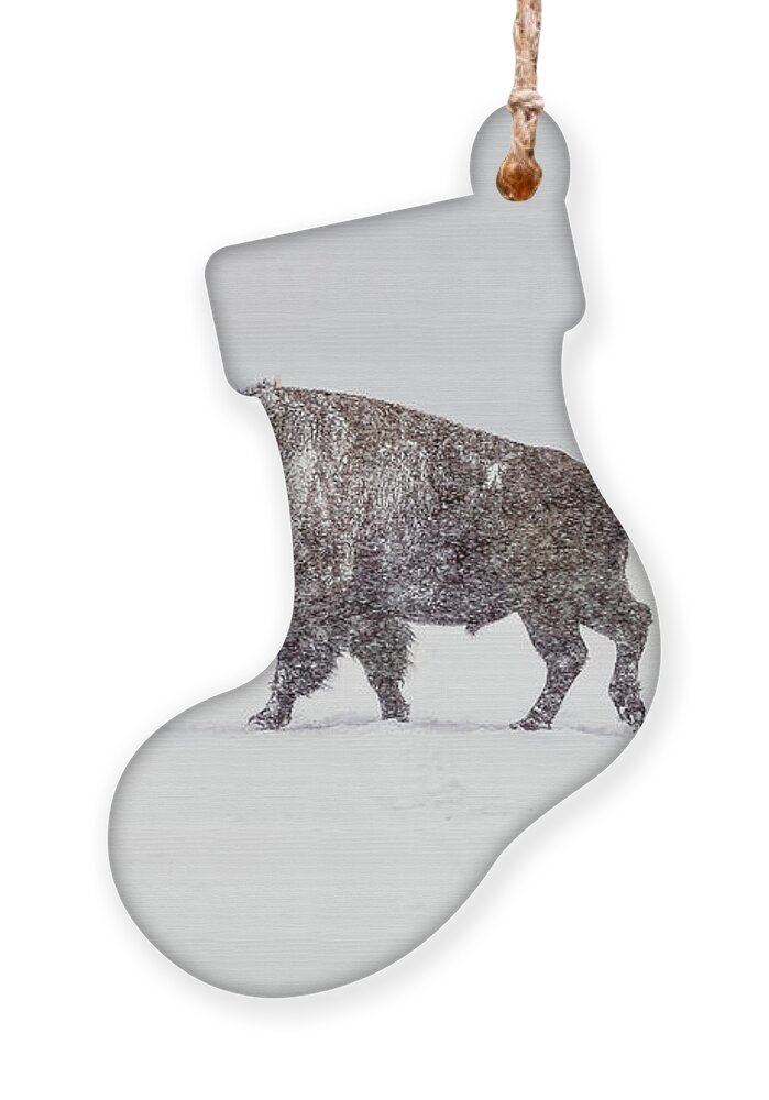 Buffalo Ornament featuring the photograph Buffalo in Yellowstone Winter by Craig J Satterlee
