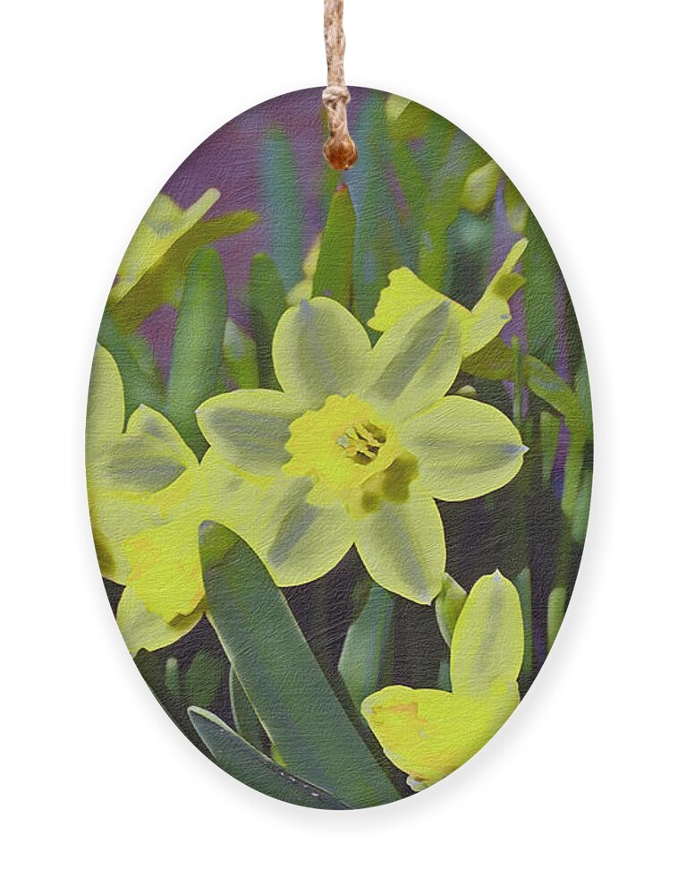 Spring Ornament featuring the photograph Bunch of Daffodils by Bentley Davis