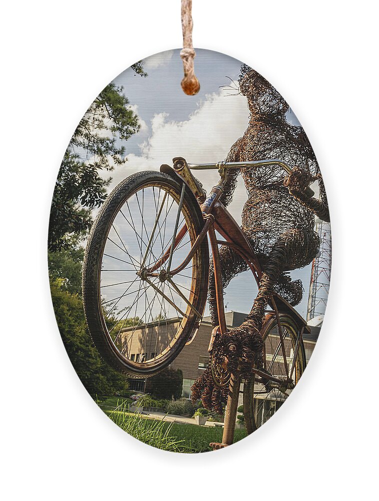 Transportation Ornament featuring the photograph Bunny Hop by Rick Nelson