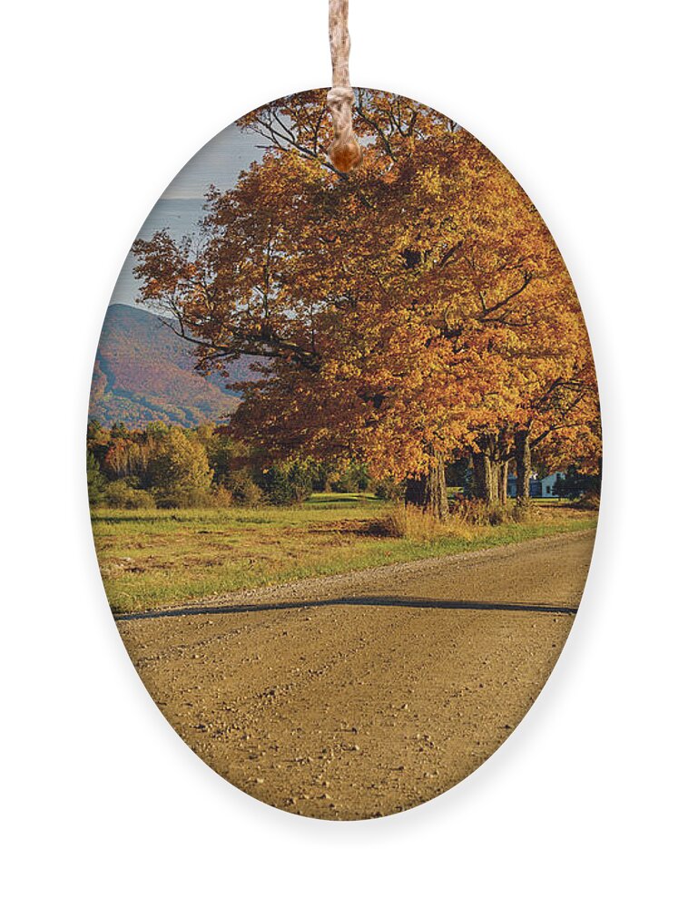 Landscape Ornament featuring the photograph Burke Mountain From Sugarhouse Road During Fall Foliage Season by John Rowe