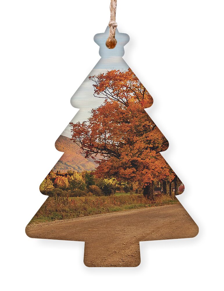 Bvt Ornament featuring the photograph Burke Mountain From Sugarhouse Road by John Rowe