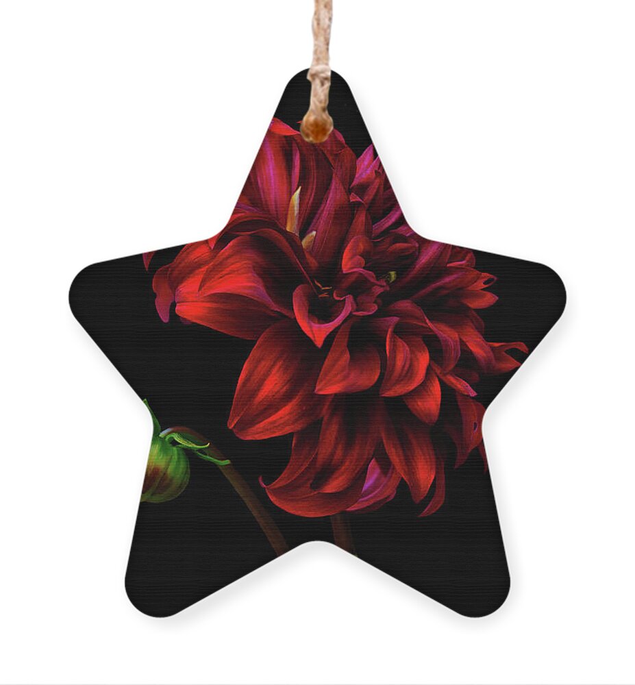 Dahlia Ornament featuring the photograph Burn Daylight by Cynthia Dickinson