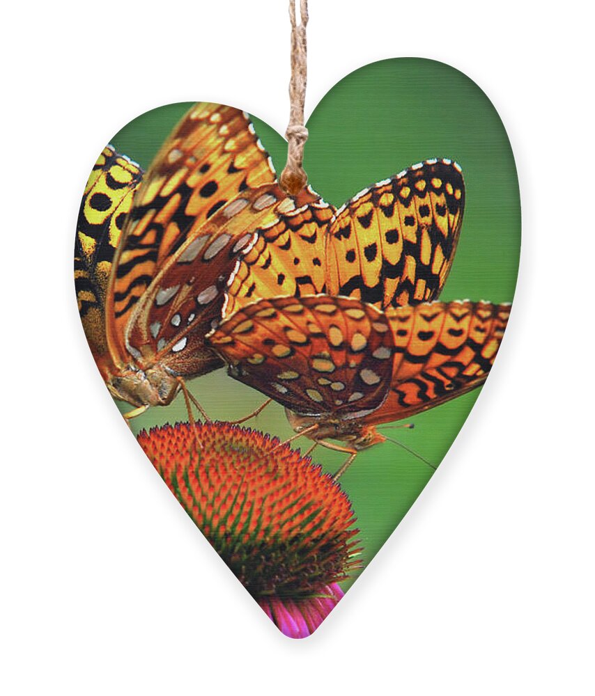 Butterfly Ornament featuring the photograph Butterfly Twins by Christina Rollo