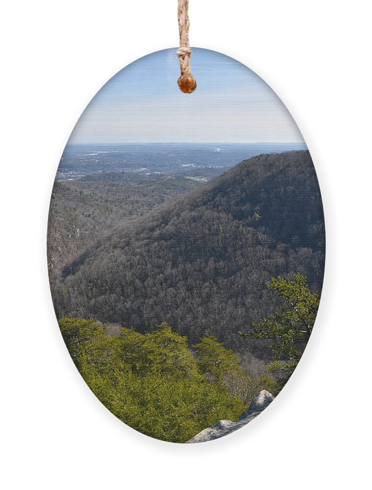 Cumberland Plateau Ornament featuring the photograph Buzzard Point Overlook 1 by Phil Perkins