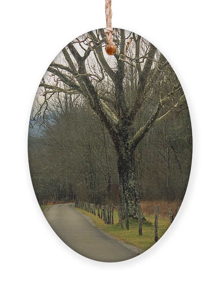 Landscape Ornament featuring the photograph Cade's Cove by Jamie Tyler