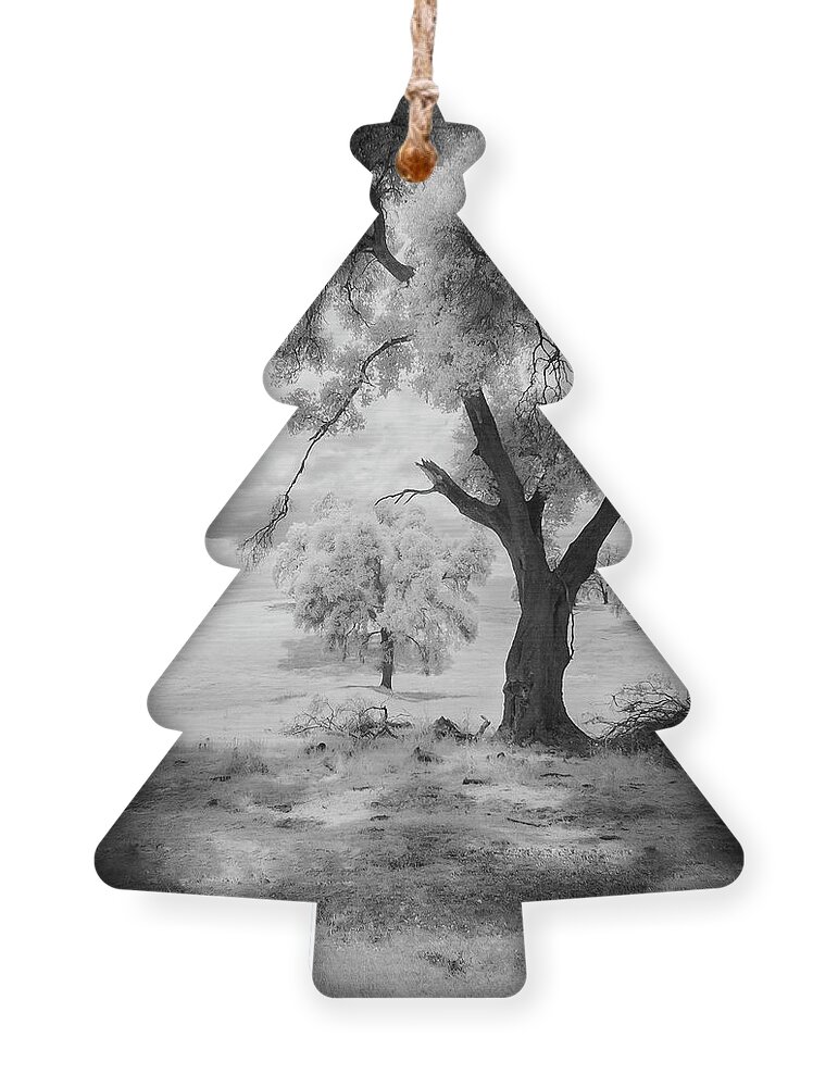 Infared Ornament featuring the photograph California Countryside by Craig J Satterlee