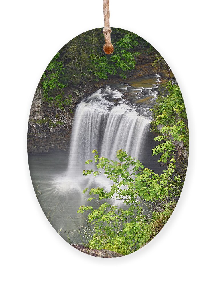 Cane Creek Falls Ornament featuring the photograph Cane Creek Falls 11 by Phil Perkins