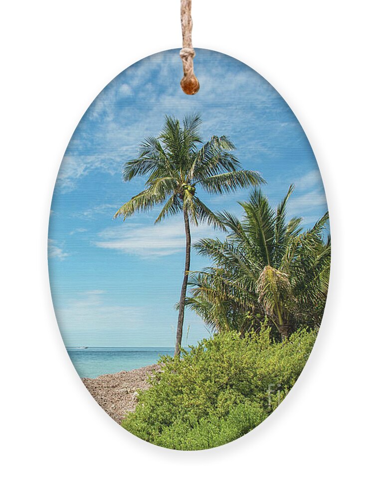 Palm Ornament featuring the photograph Cape Florida Beach by Beachtown Views