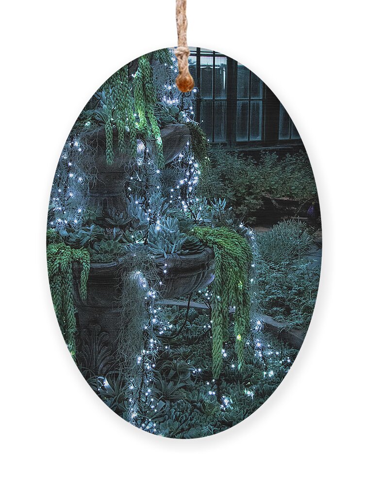 Winter Ornament featuring the photograph Cascading Succulents Christmas Tree by Kristia Adams