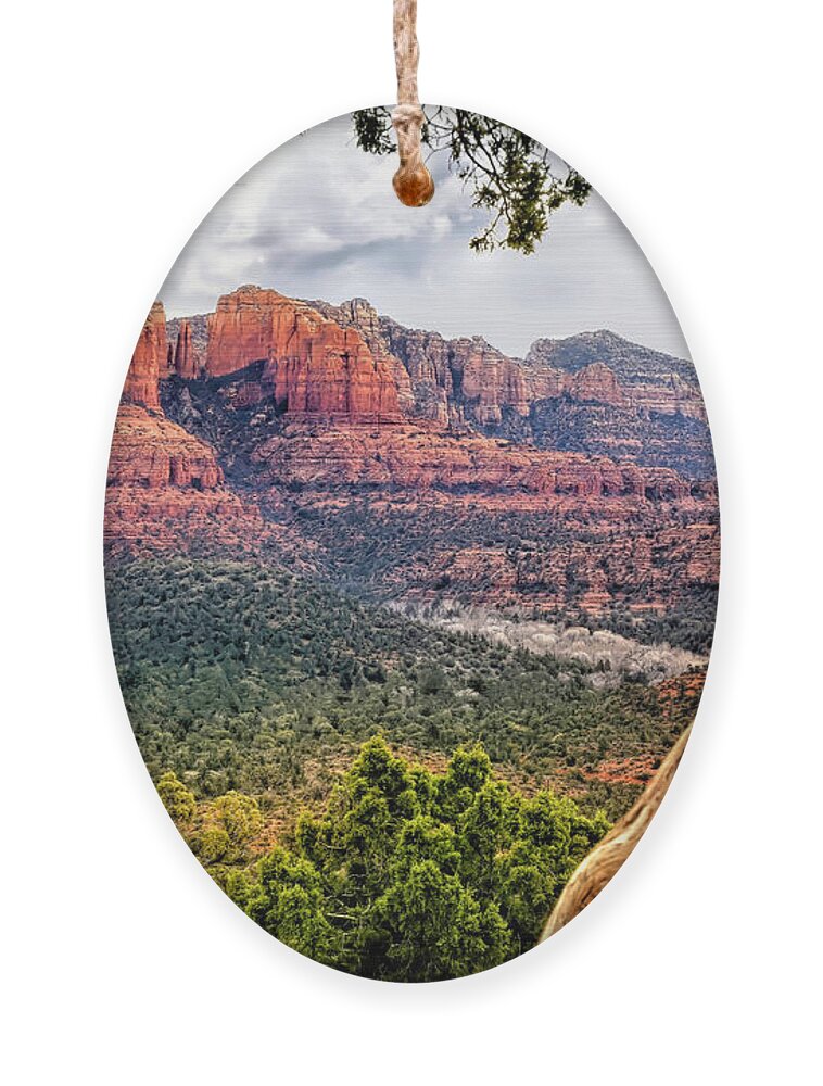 Cathedral Rock Ornament featuring the photograph Cathedral Rock Framed by Donna Kennedy