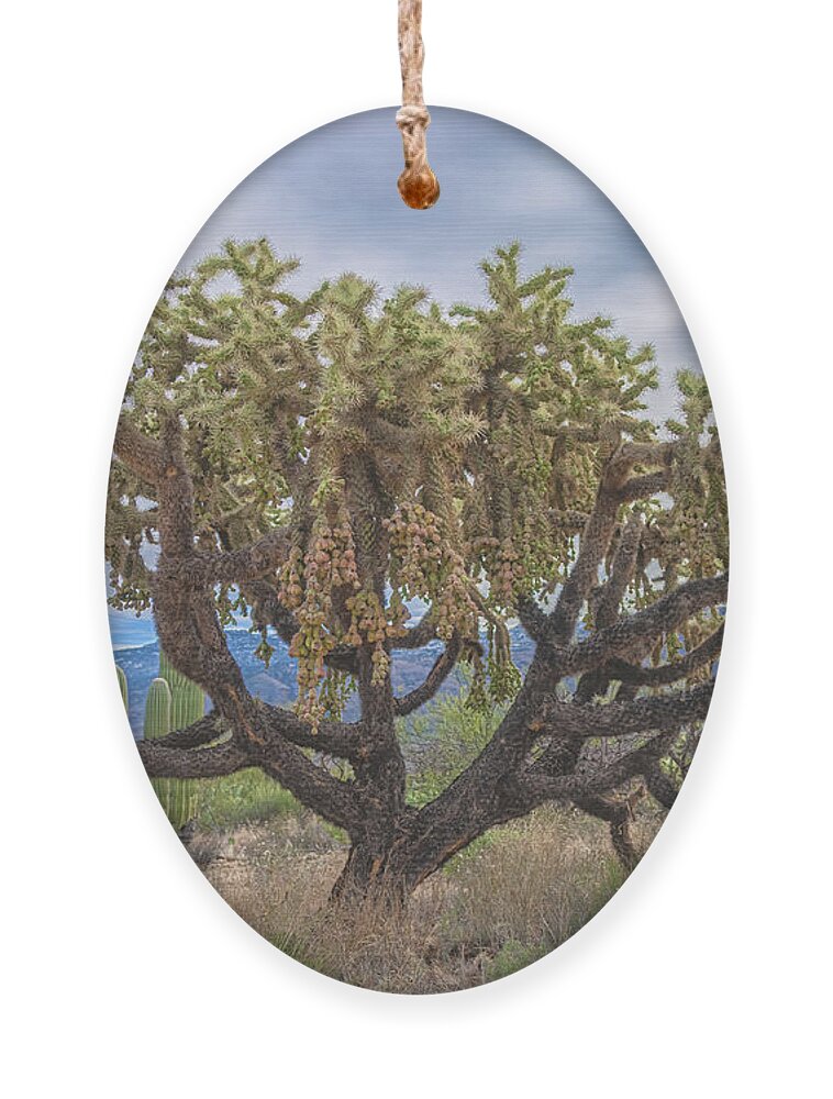Chain-fruit Cholla Ornament featuring the photograph Chained-fruit Cholla by Jonathan Nguyen