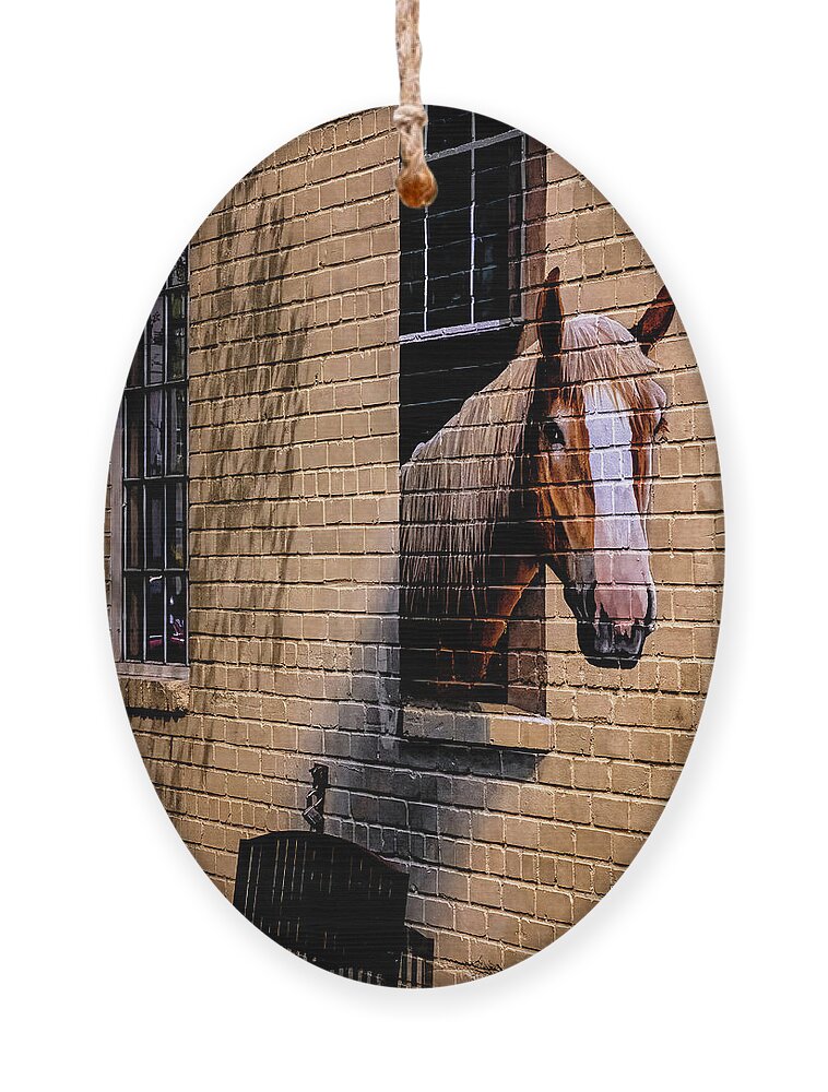 Marietta Georgia Ornament featuring the photograph Charleston Horse Mural by Tom Singleton