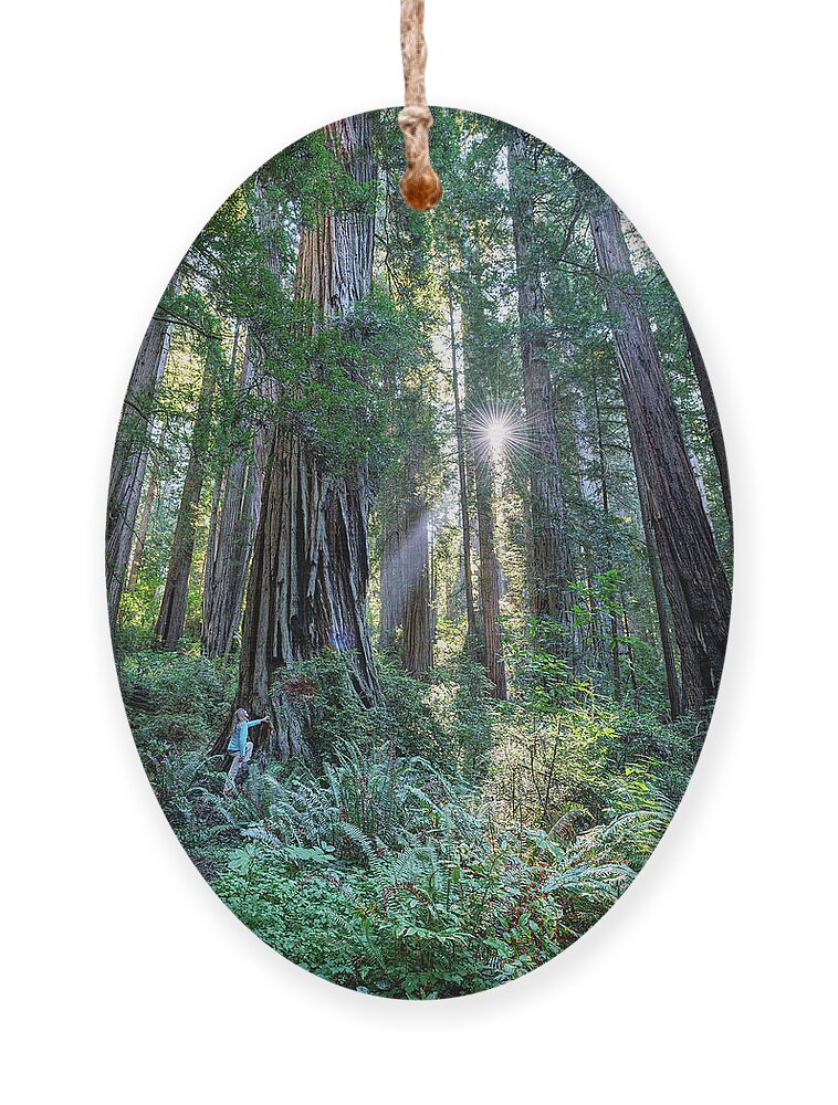 California Ornament featuring the photograph Chasing the light by Rudy Wilms