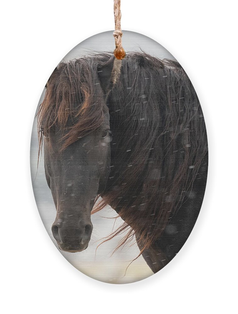 Wild Horses In Snow Ornament featuring the photograph Chocolate in the Snow by Mary Hone