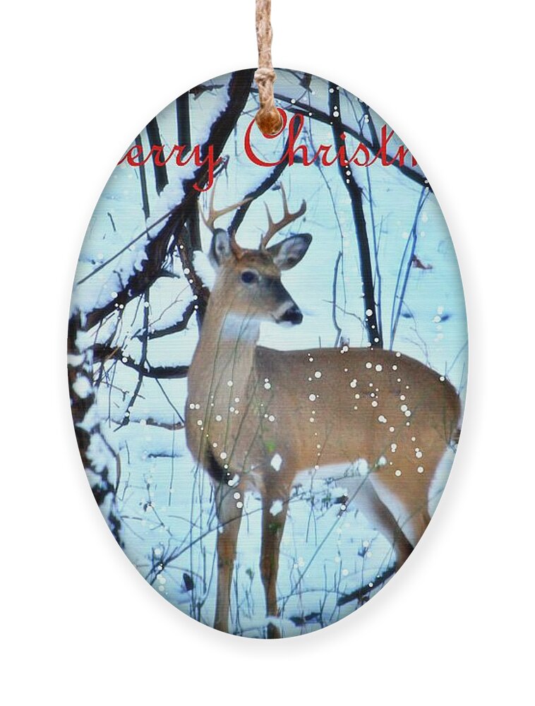 Buck Ornament featuring the photograph Christmas in the Woods by Mary Walchuck