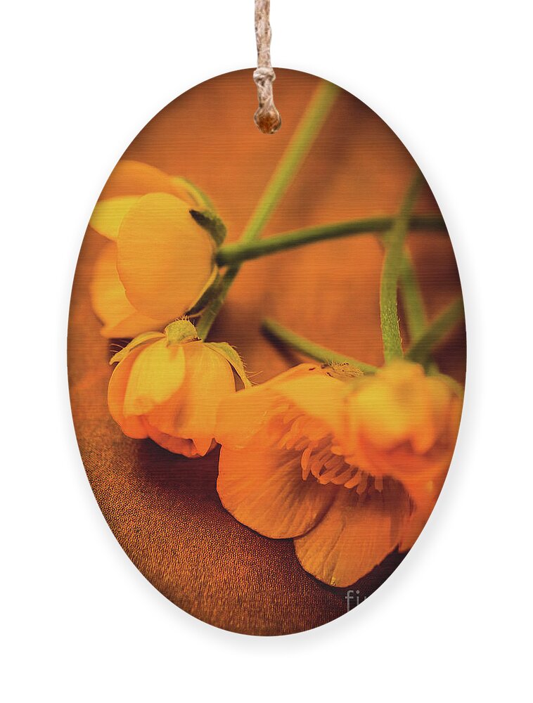 Yellow Ornament featuring the photograph Churning spring by Jorgo Photography