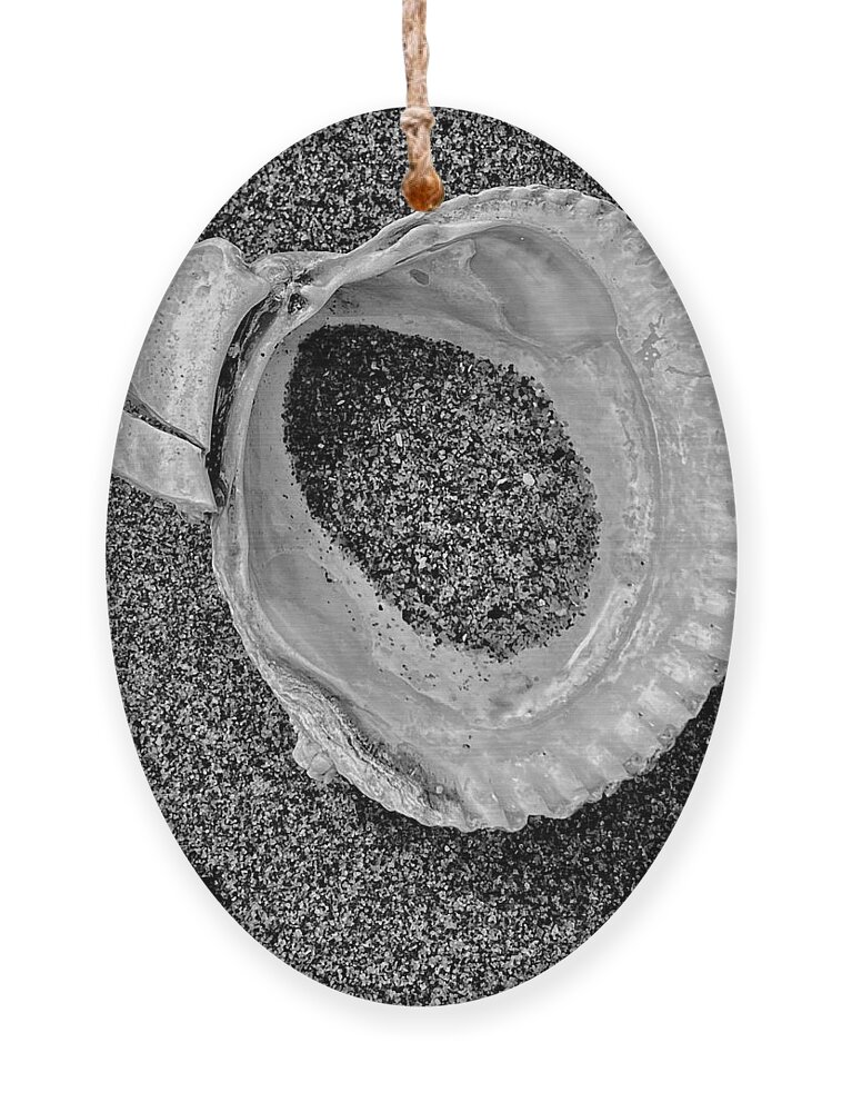 Black And White Ornament featuring the photograph Clam Shell - Sandy Beach bw by Jerry Abbott
