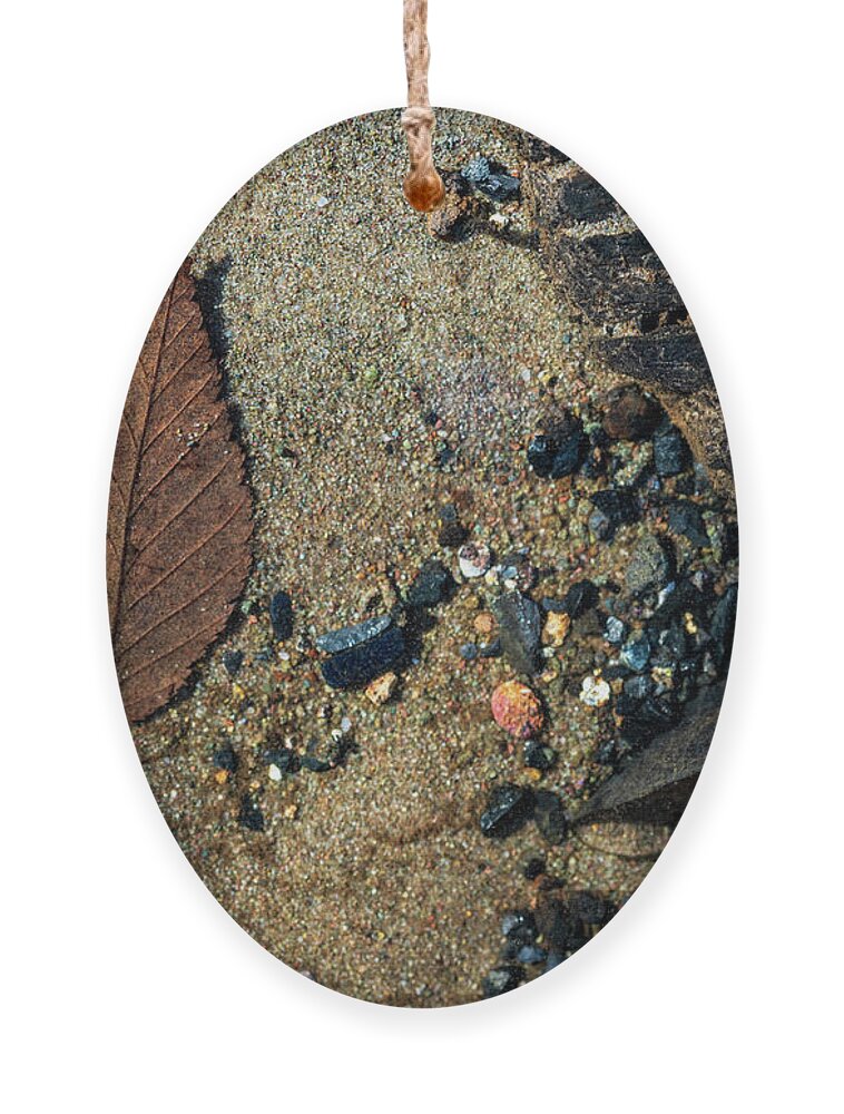 Landscapes Ornament featuring the photograph Clean Water - Delaware River - Underwater Photography 4 by Amelia Pearn