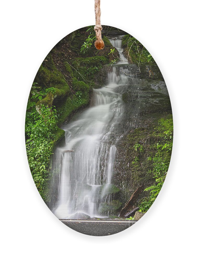 Cliff Branch Falls Ornament featuring the photograph Cliff Branch Falls by Phil Perkins