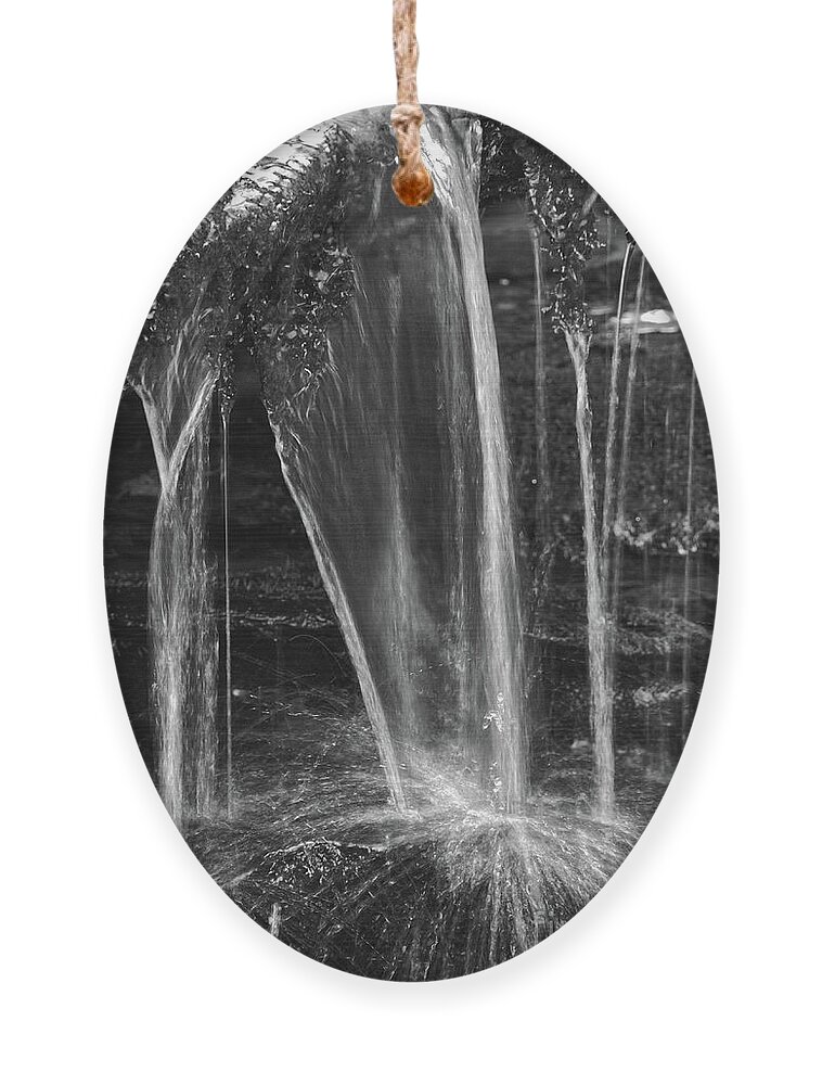 Falls Branch Falls Ornament featuring the photograph Close Up Waterfall by Phil Perkins