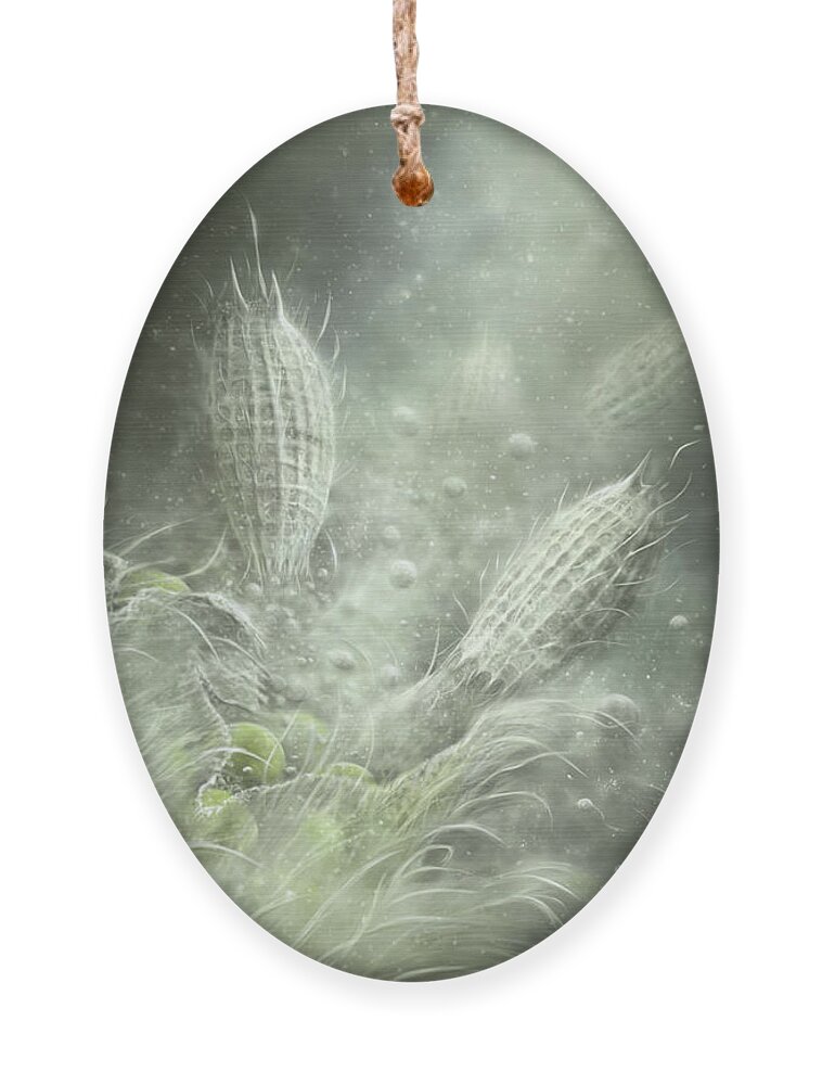 Protozoa Ornament featuring the digital art Coleps Feeding Frenzy by Kate Solbakk