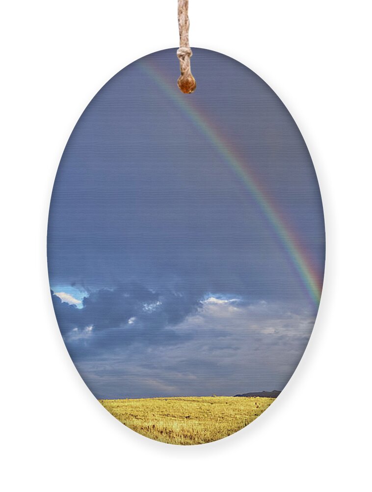 Rainbow Ornament featuring the photograph Colorado Rainbow by Bob Falcone