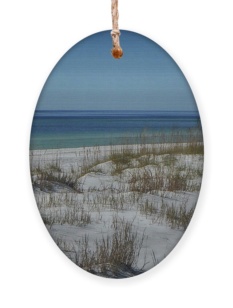 Gulf Ornament featuring the photograph Colors of Paradise by Judy Hall-Folde