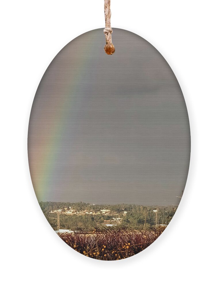 Rainbow Ornament featuring the photograph Colors Of The Rainbow by Arik Baltinester