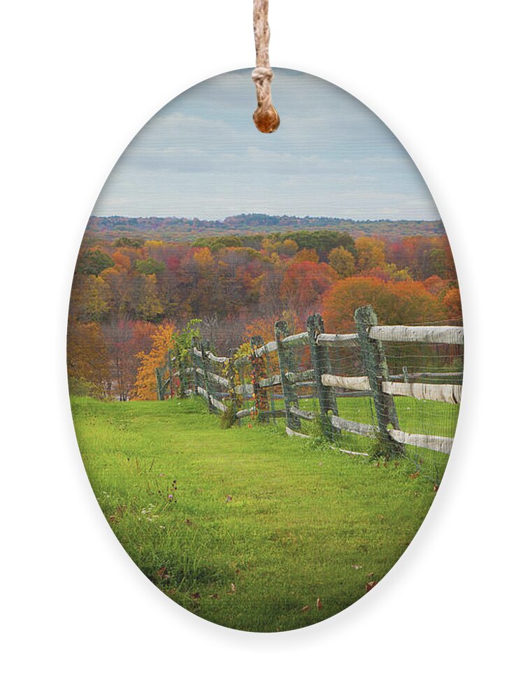 Fall Ornament featuring the photograph Connecticut Foliage_8156 by Rocco Leone