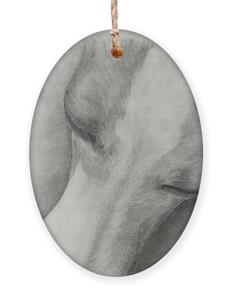 Italian Greyhound Ornament featuring the drawing Comfy by Heather E Harman