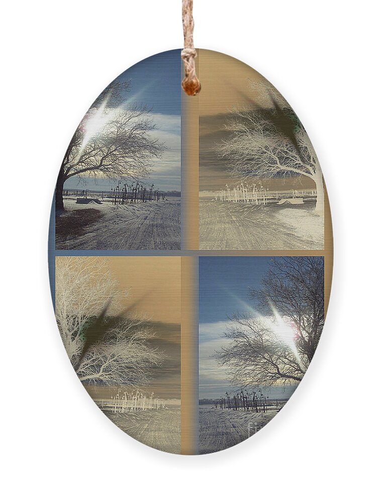 Canada Ornament featuring the photograph Contrasts Quadrant by Mary Mikawoz