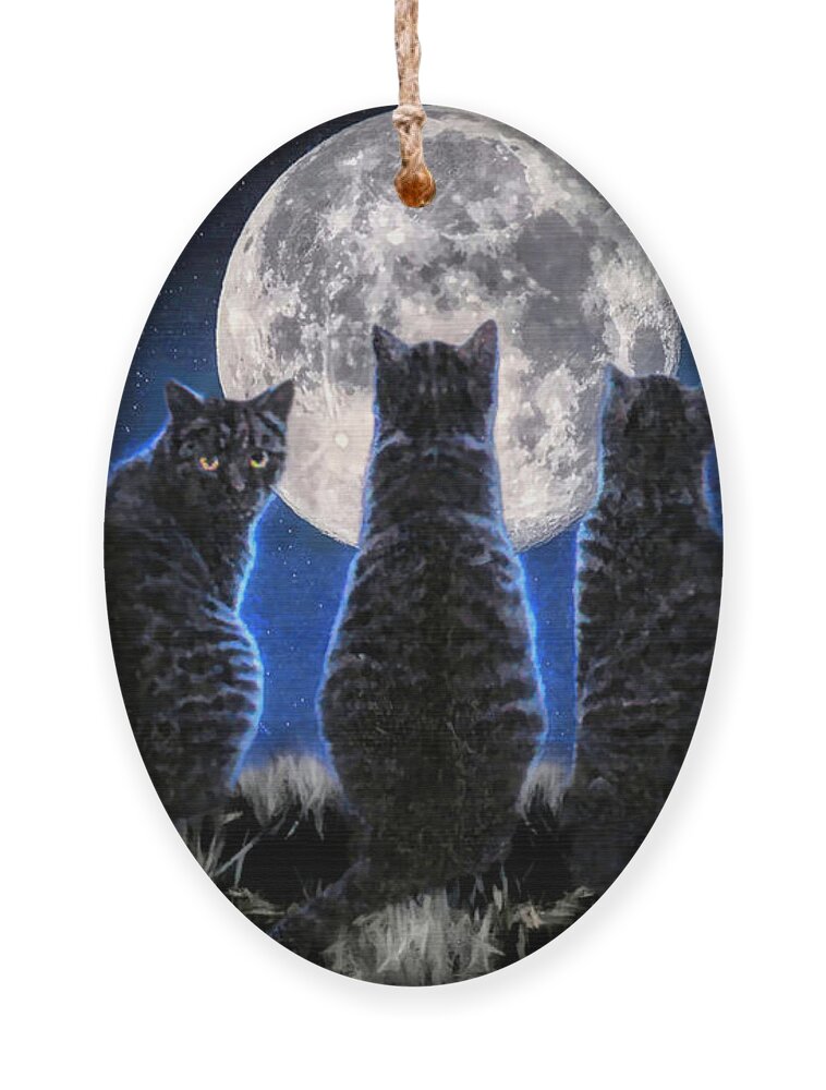 Domestic Cats Ornament featuring the photograph Cosmic Cats by Donna Kennedy