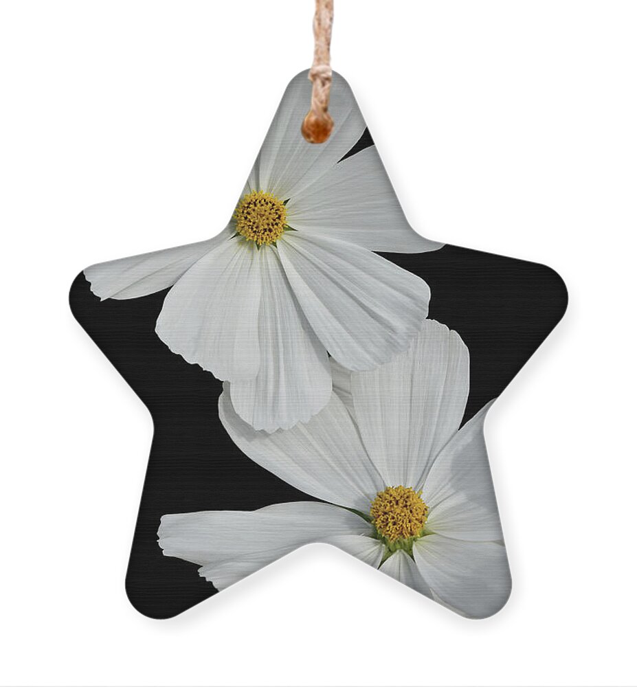 Flower Ornament featuring the photograph Cosmos bipinnatus - White by Yvonne Johnstone